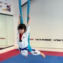 HTS 경희대 석사 태권도장 | 우리 아이의 든든한 성장 파트너, 안산태권도에서 만나는 바른 인성과 체계적인 교육