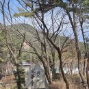 대덕전기 | 대전 대덕구 계족산 최단거리 1시간 용화사~봉황마당~봉황정