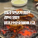 원조산호숯불아나고곰장어