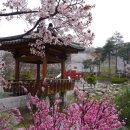 화원보건지소 이미지