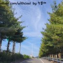 영남생고기전문점 이미지