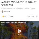 부산에서 부탄가스 5,600개 터짐 이미지