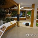 거창백두대간생태교육장 이미지