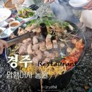 시골집오리농원 | 경주 돼지고기 맛집 암행어사 농원 야외 삼겹살 내돈내산 후기