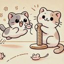 Healthy Cat 이미지