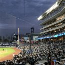 삼호로R | 창원에 사는 ssg 팬의 직관 후기