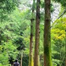 다산명가 이미지