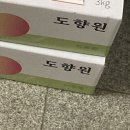 도향원
