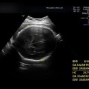 손산부인과의원 이미지