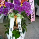 양천문화회관 이미지