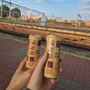 (주)우진에너지 | [근황일기] 뭐라고 말을 해야할까요