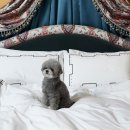 애견호텔 나무야 이미지