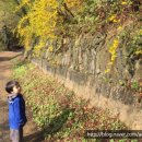 청곡농장 이미지