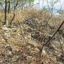 고이도 왕산성 이미지