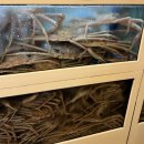 부산마트 | 부산 광안리 맛집 원조기장대게할인마트 대게 찐맛집 후기