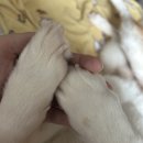 기록 24