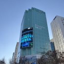 다이나믹짐 | 종각역 클라이밍 다이나믹 활어 무브 실내암장 손상원클라이밍짐 을지로점