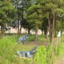 창오초등학교 이미지