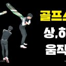 TG골프아카데미 이미지