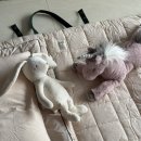 하나어린이집 | 호들 내돈내산 어린이집 낮잠이불 세탁기 건조기 사용 후기