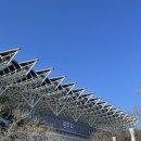 지쿠터대박