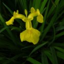 꽃소아청소년과의원 이미지