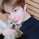 남덕중참치 | [NCT 정우 생일카페🎂] 카페 보이드 / 오복이🐶의 생일을 축하합니달라~🎶