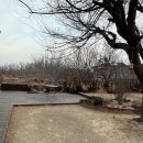 강원도 속초 카페 추천 | 라라의 정원 | 애견 동반 가능 | 시그니처 음료 후기