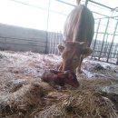 화수목 농원 이미지