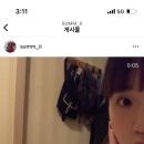 냥냥이 캔따개 이미지