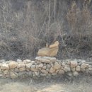 돌담하우스 이미지