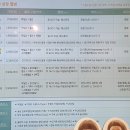 베이비파스텔 안산시흥점 만삭촬영 후기&amp;성장앨범계약&amp;한빛여성병원 연계혜택(+가격정보, 다온카드 사용...