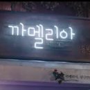필프렌즈