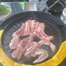 돈돈돼지 이미지