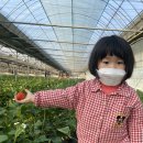 포시즌농장 이미지