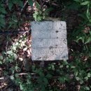 광산골식당 이미지