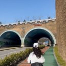홍성(하)휴게소 | 2025년 04월(1) 아무래도 공주님이었나봐