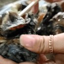 득량수산 이미지