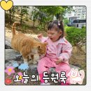 숙명키즈어린이집 | 20개월 아기 등원룩, 어린이집 데일리룩 내돈내산 후기