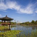 대전광역시립미술관 이미지