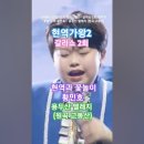 황민호 - 용두산 엘레지 (원곡 고봉산). [MBN] [&#39;2025.03.11 현역가왕2 - 갈라쇼 2회, 현역과 꽃놀이. #현역가왕2갈 이미지