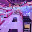 ZZANG 뽑기방 네이버블로그