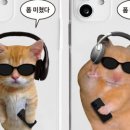 간지나 개 이미지