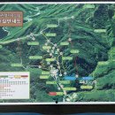 명품소나무길 이미지