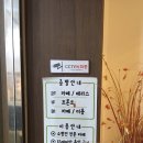 리얼허브애견카페 이미지