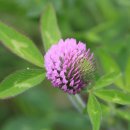 원산목장 이미지