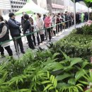 희망의 나무 이미지