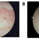 정형메디텍 이미지