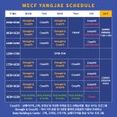 위크로스핏 양재 | [양재, 서초 / 크로스핏] 위 크로스핏 양재 토요일 오픈짐 후기 :: 서울 토요일 드랍인 박스 / 위...