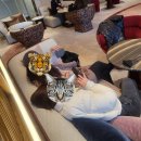 천지팰리스 | [2024 국내여행] 조선팰리스 서울 강남 1박2일 호캉스 (feat.그녀들)